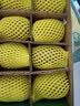 佳沛（zespri）新西兰金奇异果12粒特大果124-146g猕猴桃中秋节礼品送水果礼盒 实拍图