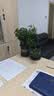 九千谷花盆加仑盆塑料花盆家用园艺种植小花盆带托盘14*14cm 2个装5051 实拍图