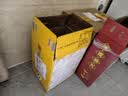 广氏菠萝啤果味饮料500ml*12听大罐果啤整箱装汽水中秋送礼 实拍图