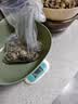 【净化吐沙】鲜活小花蛤500g （70-90粒/500g) 实拍图