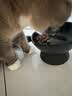 冠能猫粮室内成猫猫粮2.5kg 全价猫粮 添加膳食纤维 控制毛球 实拍图