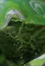 Yihai 亿海裙带菜酸甜味110g*7袋 大连产地标认证低脂海藻沙拉海白菜 实拍图
