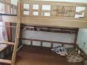 榕匠 橡胶木上下床纯实木双层床高低床男孩女孩上下铺儿童床子母床 爬梯款+书架+5CM椰棕床垫*2 1500mm*2000mm【升级加厚】 实拍图