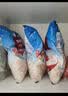 桂格（QUAKER）快煮快熟燕麦片1000克袋装 营养早餐 膳食纤维 零添加白砂糖 实拍图