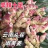 云南小黄姜新鲜老姜10斤沙姜仔姜月子姜南姜农家现挖干姜生姜批发 8.5斤 【正宗小黄姜】源头直采包邮 实拍图