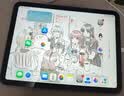 Apple/苹果 iPad 11英寸 A16芯片2025年款 平板电脑 (256GB WLAN版/学习办公娱乐)蓝色 实拍图
