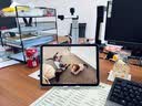 倍思电容笔iPad触控笔【磁吸蓝牙高配】适用iPad Pro/Air8/Mini7/iPad11平板触屏手写笔applepencilPro 实拍图
