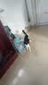 【原研进口】[安素] 肠内营养粉剂(TP)400g/罐 24盒装 实拍图