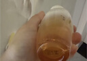 千纤草小颗粒面膜海藻糖水解胶原补水保湿睡眠面膜泥免洗250g 2罐 实拍图