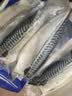 探海日志冷冻挪威青花鱼片净重2斤小袋包装进口冷冻鲭鱼日料烤鱼海鲜生鲜 实拍图