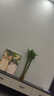 好久不见diy数字油画治愈猫咪填色画客厅挂画儿童手工油画装饰画  实拍图