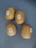 佳沛（zespri）新西兰 阳光金奇异果12粒特大果单果124-146g 猕猴桃水果礼盒 实拍图