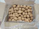 京东京造新疆阿克苏薄皮核桃2.5kg原味新货纸皮节日礼盒每日坚果特产零食 实拍图