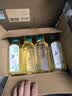 农夫山泉【新口味】东方树叶陈皮白茶500ml*15瓶无糖茶饮料0糖0脂0卡 实拍图