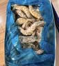 GUO LIAN国联 国产盐冻大虾 无冰净重3斤特大号45-60只白对虾生鲜海鲜中秋 实拍图