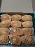 佳沛（zespri）新西兰金奇异果12粒特大果124-146g猕猴桃中秋节礼品送水果礼盒 实拍图
