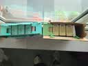 江中食疗梨杷甘益生菌发酵果汁120ml*20盒 枇杷梨汁低糖0脂果汁整箱饮料 实拍图