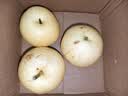 正宗河北皇冠梨饶阳皇冠梨产地直发单果180g+ 带箱2斤装（净重1.6-1.8斤） 实拍图