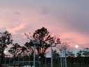 美的（Midea）电炒锅 电蒸锅 电煮锅 智能可预约多功能电火锅 煎蒸煮炒菜 4L多用途锅一体宿舍锅HCG2816 配蒸笼 实拍图
