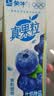蒙牛真果粒蓝莓味牛奶饮品250g*12盒 新老包装 中秋送礼礼盒 实拍图
