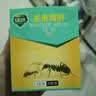 绿叶蚂蚁药杀虫剂20袋/盒蟑螂药红火蚁小黄家蚁大头蚁GL1046 实拍图
