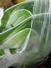 妈妈壹选天然植皂洗衣液17斤（瓶3kg+瓶1kg+袋1kgx4+500g）【品质严选】 实拍图