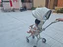 semmook遛娃神器可折叠婴儿推车双向手推车婴儿车0-3岁溜娃神器一键收车 升级款加大轮【带加大遮阳棚】 实拍图