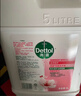 滴露（Dettol）洗手液补充装大桶消毒滋润5L 儿童家庭装杀菌护手 实拍图