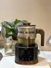 格丽思（GREENIS）煮茶壶 喷淋式煮茶器纯钛养生壶烧水壶泡茶壶一体机全自动保温壶蒸茶壶新款高档大气礼盒 深空灰礼盒装（纯钛壶底-单直筒茶漏） 实拍图
