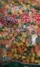 云山半低脂肪什锦蔬菜1kg0添加剂玉米粒胡萝卜青豆半加工蔬菜 实拍图