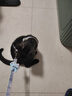 欢宠网猫咪牵引绳猫绳宠物防挣脱可调松紧背心式专用溜遛猫绳子外出用品 实拍图