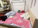 零树 实木床主卧双人床家具【包安装】 1.5m*2m床+5cm椰棕床垫 JY-004 实拍图