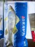 仙泉湖冷冻白蕉海鲈鱼2斤肉厚刺少1斤*2条海鲜水产生鲜食材 实拍图