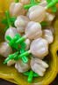 周十五益生菌蜂蜜露音符管开塞蜜露孕产妇儿童老人蜜栓10支产后日常护理 实拍图