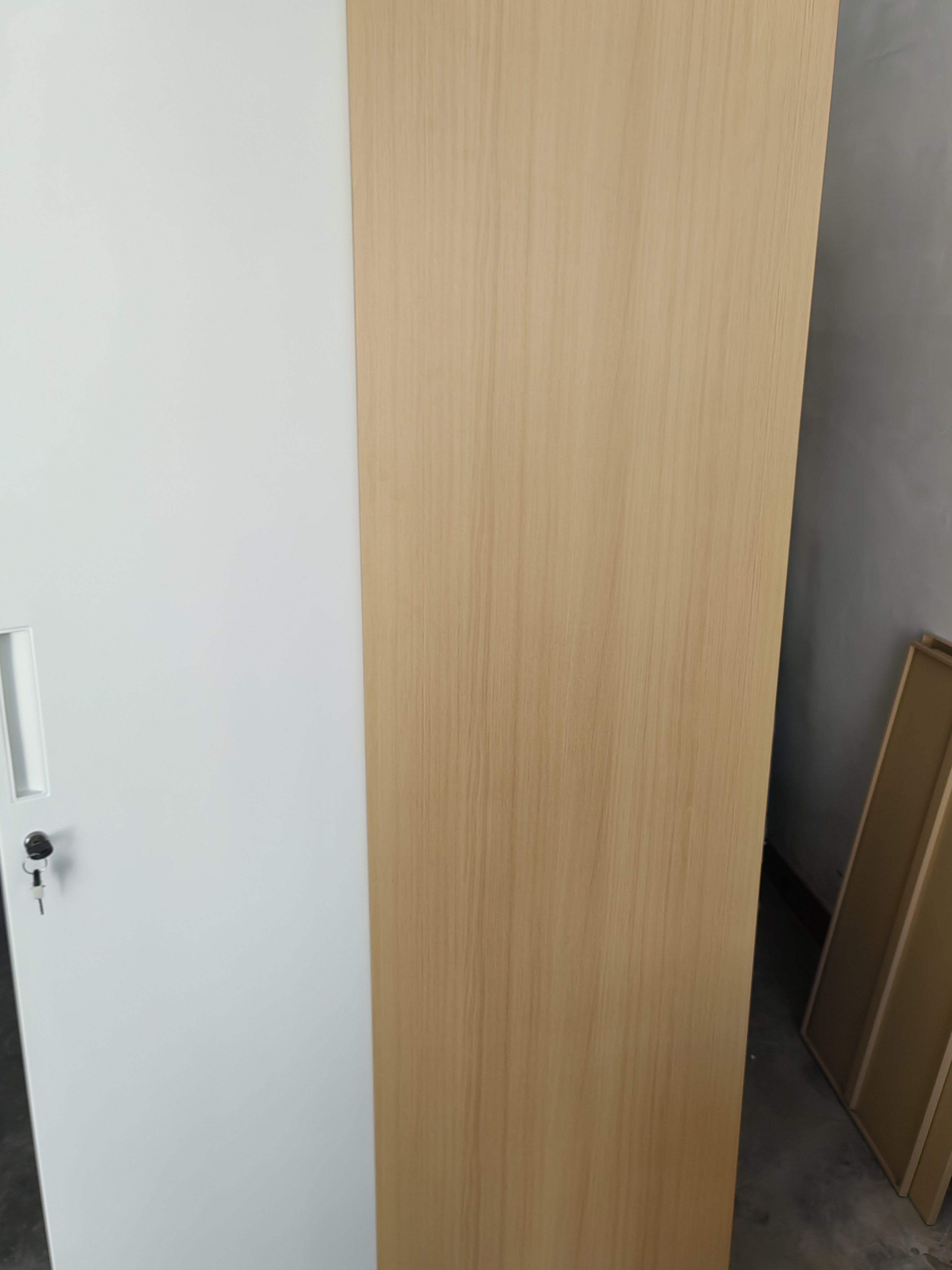 金经金属钢制衣柜主卧室家用出租房铁艺落地柜环保铁皮儿童衣橱长0.9米 实拍图