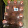 百事可乐美年达 Mirinda 橙味汽水碳酸饮料300ml*12瓶 便携小瓶 实拍图