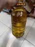 1号会员店压榨一级低芥酸菜籽油5L 充氮锁鲜 食用油【保真菜籽油】 实拍图