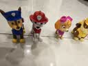 汪汪队立大功（PAW PATROL）汪汪队全套正版玩具车巡逻车6只套装男女孩3-6岁儿童生日礼物 实拍图