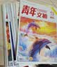 现货 2026年1-20期【40周年珍藏/全年/半年订阅】青年文摘杂志2025/2024年1-24期 初高中学生作文素材面向青少年读者期刊中高考作文素材 现货【12本装】青年文摘2025年随机12本 实拍图
