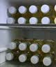 农夫山泉东方树叶茉莉花茶500ml*15瓶无糖茶饮料0糖0脂0卡整箱装 实拍图