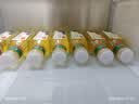 农夫山泉东方树叶绿茶500ml*15瓶无糖茶饮料0糖0脂0卡整箱装饮品 实拍图