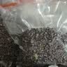 达派（dapai）德国真空封口机家用商用干湿两用全自动抽真空包装真空食品保鲜机塑封机抽腊肉真空封口 店长推荐【干湿两用】下单享袋子 实拍图
