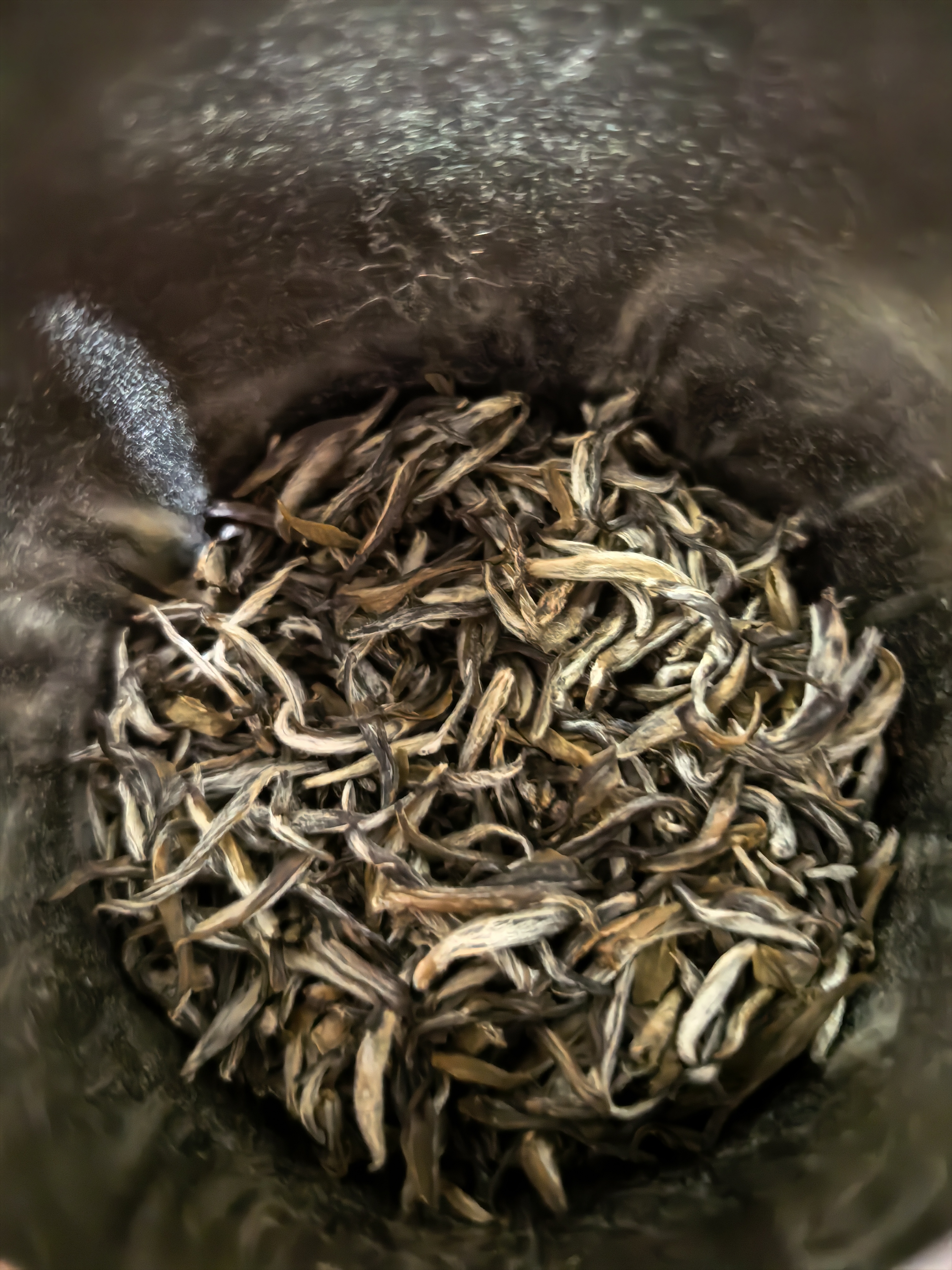 大益TAETEA茶叶普洱茶生茶 6年陈紫金贡饼品鉴装7g/袋 便携免撬 实拍图