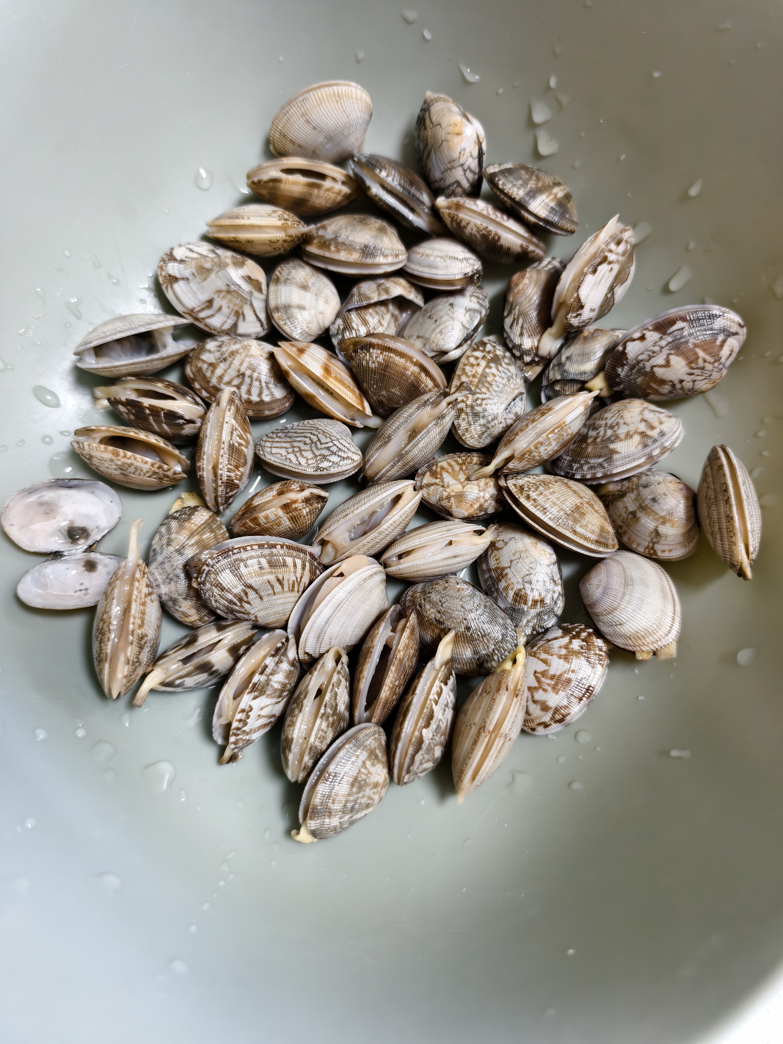 【净化吐沙】鲜活小花蛤500g （70-90粒/500g) 实拍图