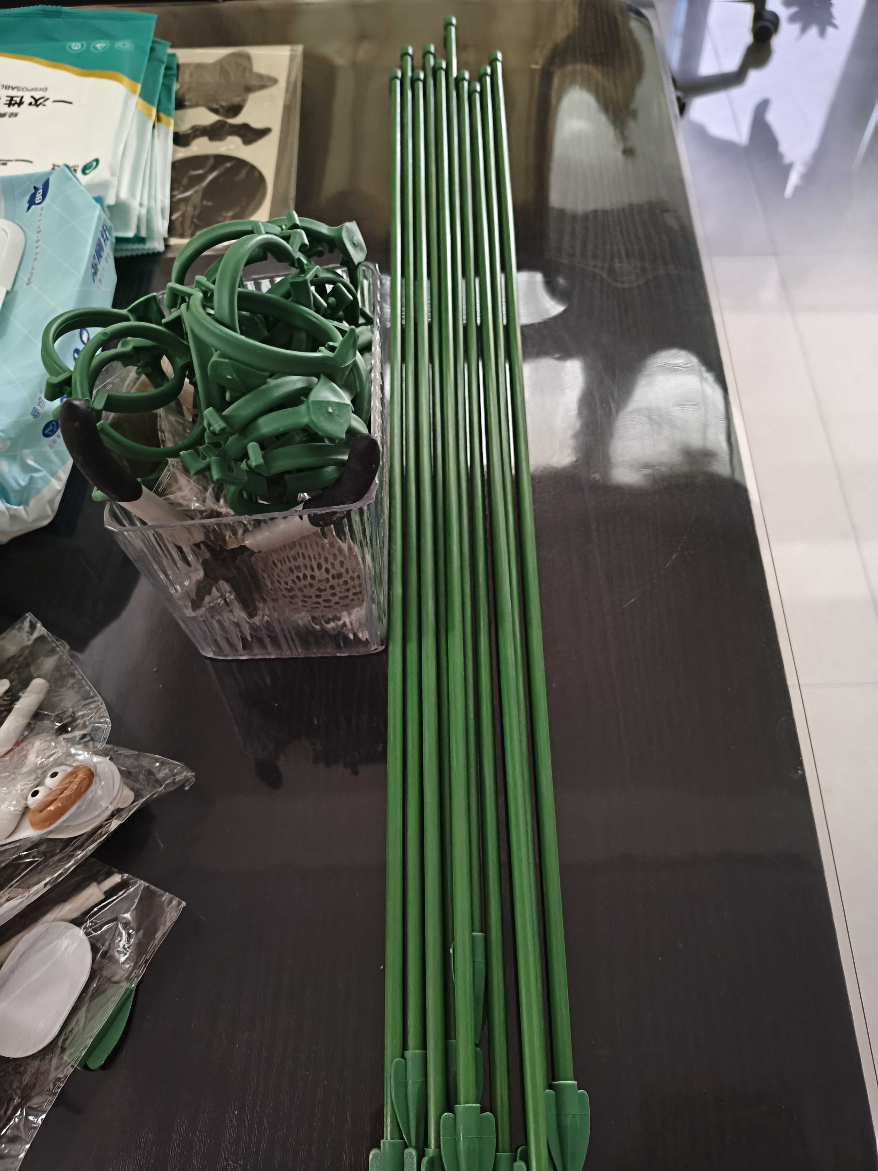 CPAI植物支撑杆花架固定器园艺扶持架花卉防倒伏花杆爬藤神器兰花支架 高60cm【玻纤杆10根】送20个卡扣 实拍图