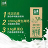 伊利金典纯牛奶 250ml*12盒 3.6g乳蛋白原生高钙 礼盒装 4-6月 实拍图