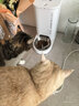 小佩智能自动喂食器SOLO白色 定时定量猫咪自动投食器(支持鸿蒙智联) 实拍图