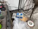 延中咸青桔风味盐汽水600ml*20瓶/箱 补水补盐碳酸饮料盐汽水 实拍图