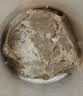 八喜冰淇淋 火星双色 可可红茶口味550g*1桶 家庭装 大杯冰淇淋 实拍图