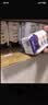 蒙牛【新鲜日期】新养道无乳糖高钙型牛奶200ml*24盒 中秋送礼礼盒 实拍图